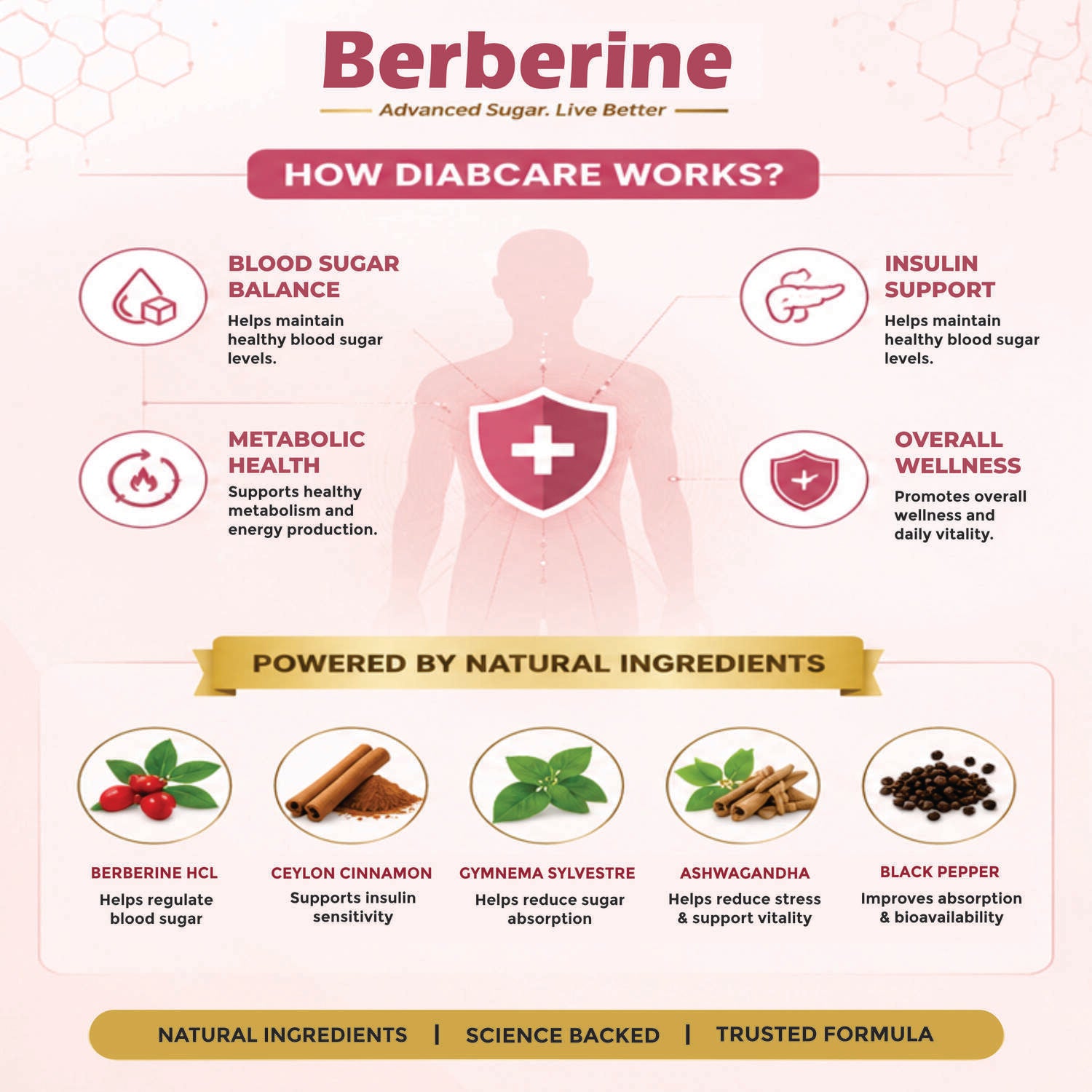 Berberine HCI 500 MG with Ceylon Cinnamon
