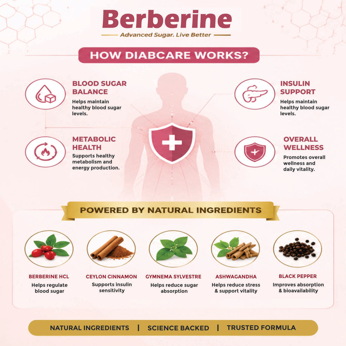 Berberine HCI 500 MG with Ceylon Cinnamon