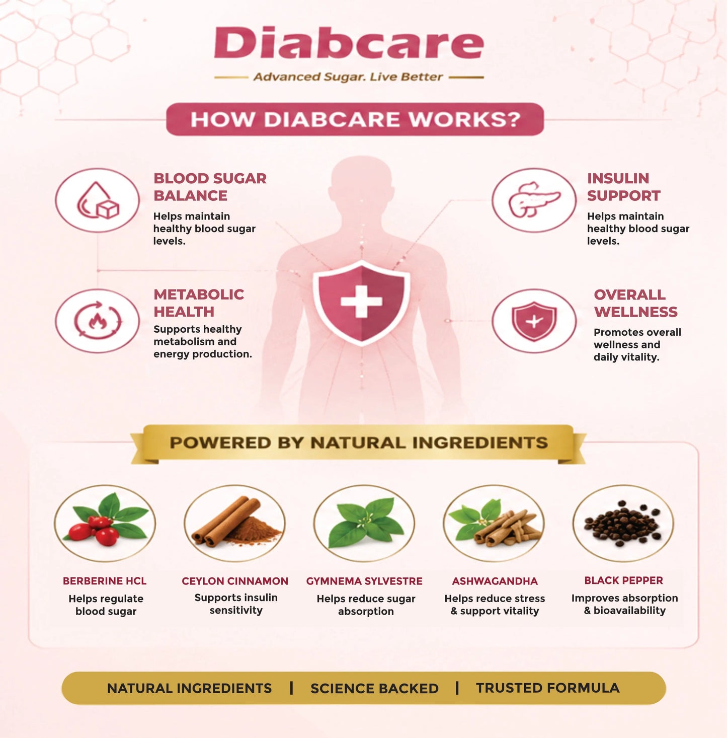 Wellza Diabcare My Store 2