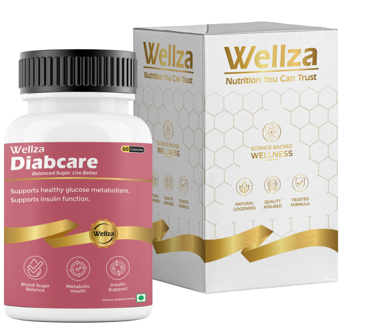 Wellza Diabcare My Store 2